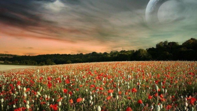 房价还会继续下跌吗？